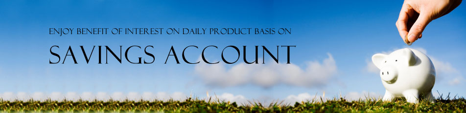 Enjoy benefit of interest on daily product basis on Savings Account